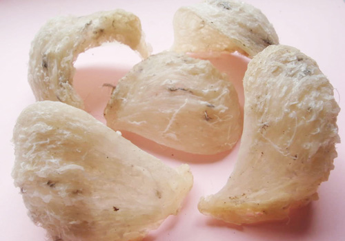 tổ yến sào