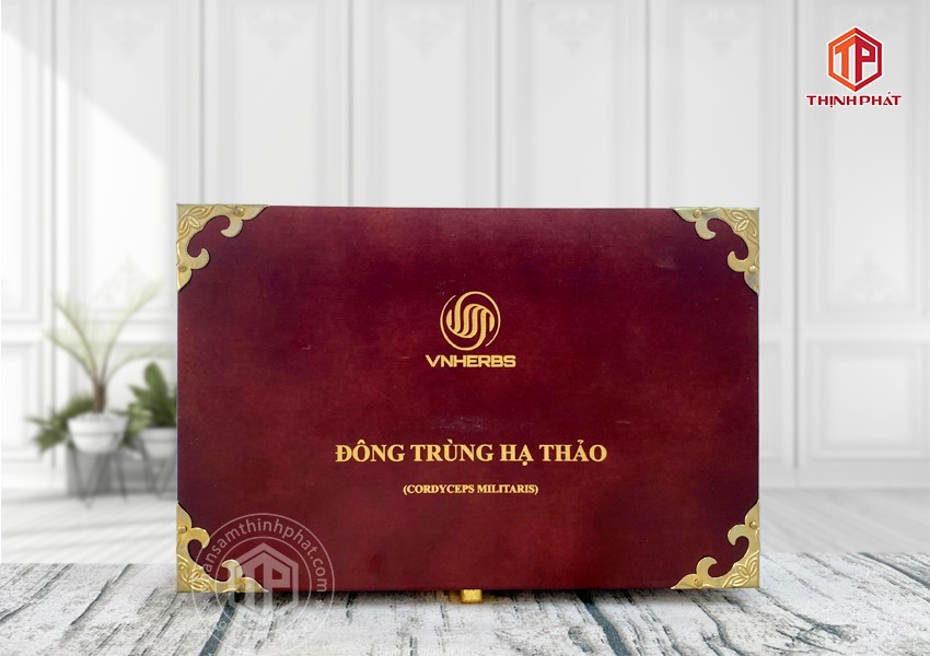 Con đông trùng hạ thảo ký chủ Việt Nam hộp 80 con