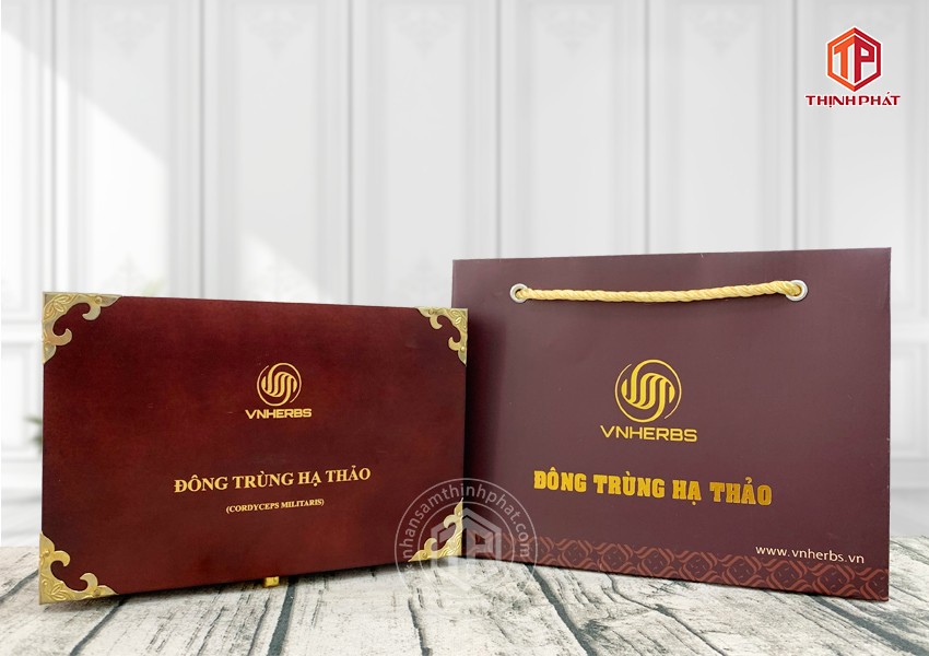 Con đông trùng hạ thảo ký chủ Việt Nam hộp 80 con