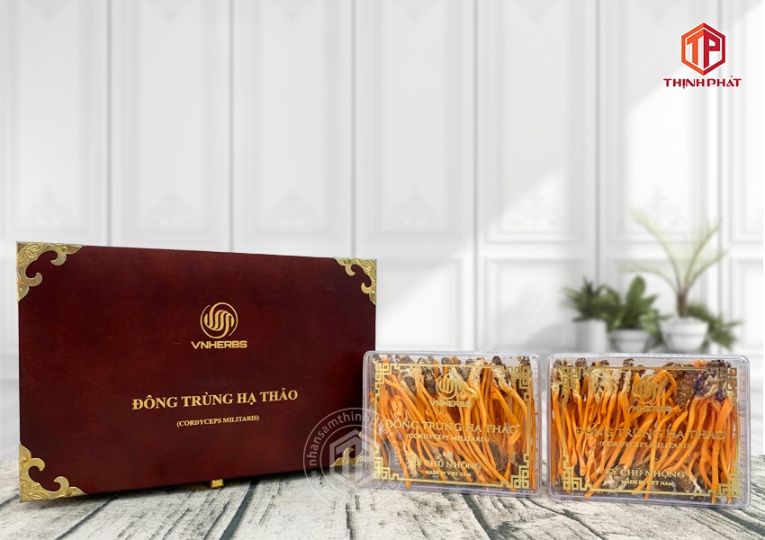 Con đông trùng hạ thảo ký chủ Việt Nam hộp 80 con