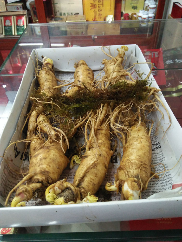 Củ sâm hàn quốc
